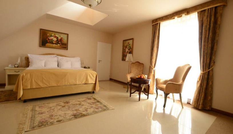 SPA Hotel VITA České Budějovice - 2 - lůžkový - PREMIER/KING